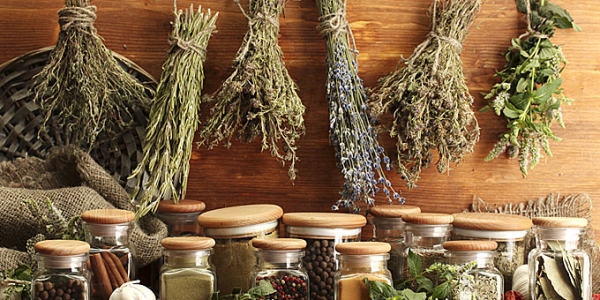 Ημερίδα στην Πρέβεζα για τα αρωματικά και θεραπευτικά βότανα και φυτά της Ηπείρου 