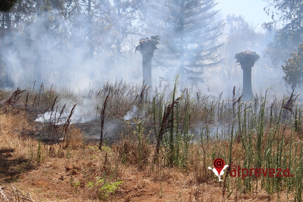 Πυρκαγιά στο Καλαμίτσι Πρέβεζας (photo+vid)