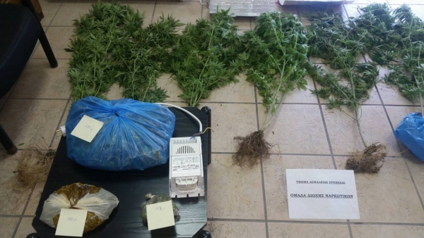Συνελήφθη 42χρονος στο Δήμου Ζηρού, που καλλιεργούσε δενδρύλλια κάνναβης και κατείχε ποσότητα ναρκωτικών