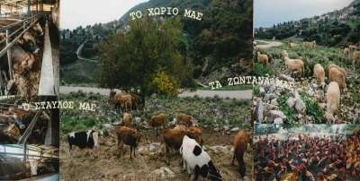 «Σούπερ» προσφορές από το κρεοπωλείο «Η Ωραία Κρανιά» - Γιορτινό πακέτο 25 ευρώ