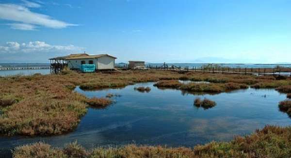 Νέα ενδιαφέροντα στοιχεία για την τραγική κατάσταση στην ΕΤΑΝΑΜ