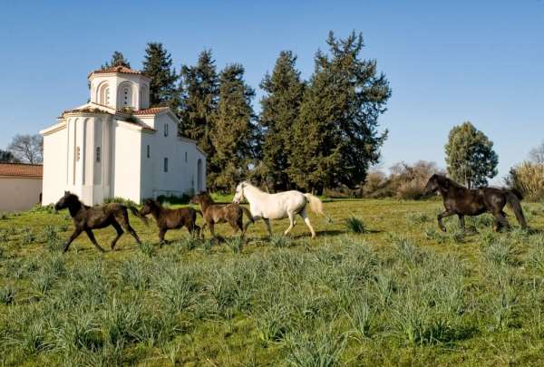 Σε πορεία θρησκευτικής και πολιτιστικής ανάδειξης το «Λιθάρι» του Αποστόλου Παύλου στη Ν. Σαμψούντα