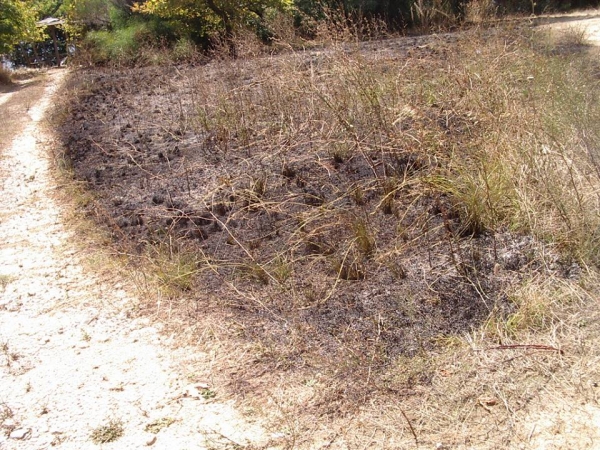 Πυρκαγιά σε αγροτοδασική έκταση στην Καστροσυκιά Πρέβεζας (photo)