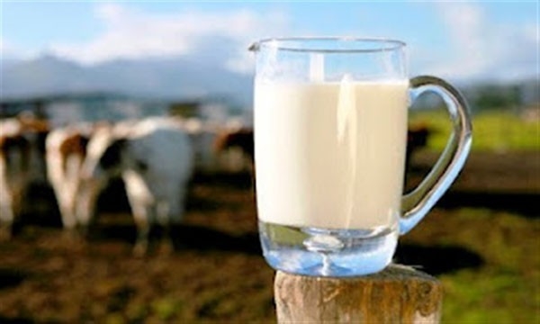 Θα «αφανίσει» την Ήπειρο ο νόμος για το φρέσκο γάλα - «Θα είναι ανεπιθύμητοι στον τόπο μας οι βουλευτές», λένε οι αγελαδοτρόφοι