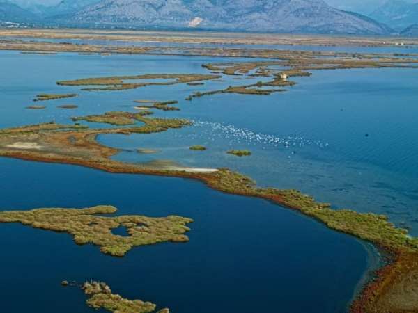 Θα συνεχιστεί το κυνήγι στον Αμβρακικό μέχρι και το Φεβρουάριο του 2016