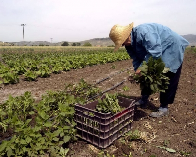 «Ενισχύσεις Αγροτών που ασκούν γεωργική δραστηριότητα σε περιοχές Natura 2000»