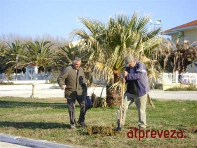 Φυτεύτηκαν δέντρα στην παραλία Καναλίου
