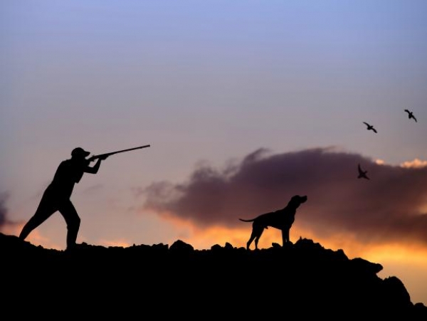 Οι 20… εντολές για τους κυνηγούς της περιοχής - Εκδόθηκε η δασική ρυθμιστική διάταξη θήρας