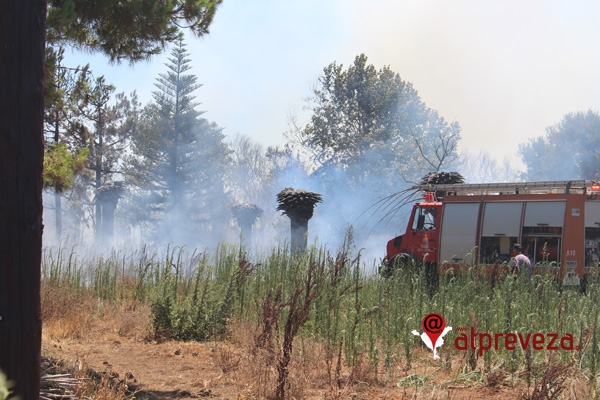 Με 28 πυρκαγιές και 86 στρέμματα καμμένων εκτάσεων έκλεισε η αντιπυρική περίοδος για την Πρέβεζα