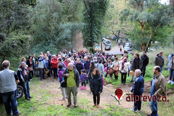 Πλήθος κόσμου στην 6η Γιορτή Μανιταριών στο δάσος του Ζηρού