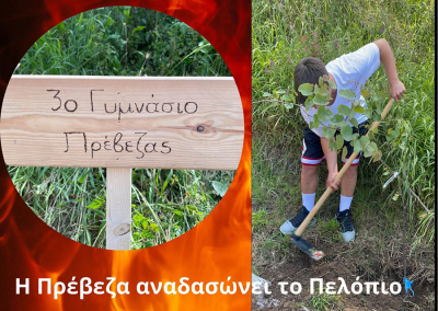 «Τα δέντρα της Πρέβεζας προσφέρουν ανάσα στο καμένο Πελόπιο» - Εξαιρετική δράση από το 3ο Γυμνάσιο Πρέβεζας