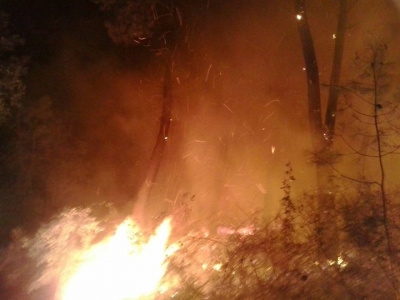 Νέα φωτιά στο αισθητικό δάσος στο Μονολίθι Πρέβεζας! (photo)