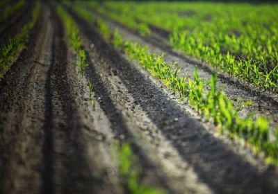 Εκδόθηκε ο καθορισμός πλαισίου εφαρμογής του Υπομέτρου 6.3 «Ανάπτυξη μικρών γεωργικών εκμεταλλεύσεων»