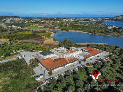 160 οι εισαχθέντες στο Τμήμα Λογιστικής και Χρηματοοικονομικής στην Πρέβεζα-Σχεδόν διπλάσιοι από πέρυσι