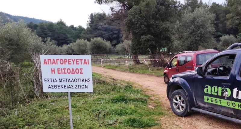 Αρνητικά και τα νέα δείγματα για ευλογιά σε κτηνοτροφικές μονάδες της Π.Ε. Πρέβεζας
