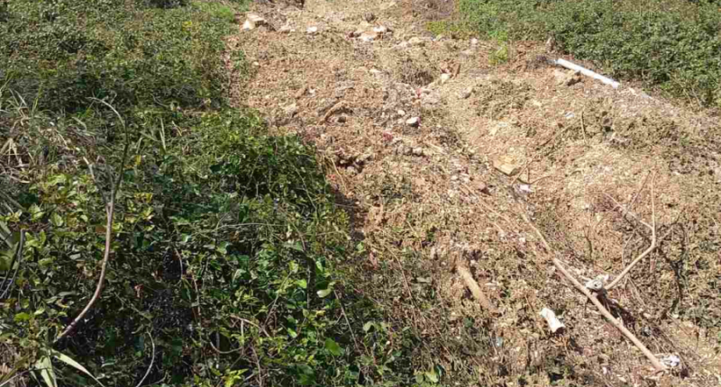 Καθιζήσεις και κατολισθητικά φαινόμενα στην Καστροσυκιά Πρέβεζας