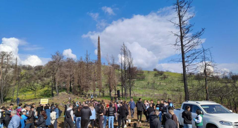 Δράση δεντροφύτευσης πραγματοποιήθηκε στη Λίμνη Ζηρού